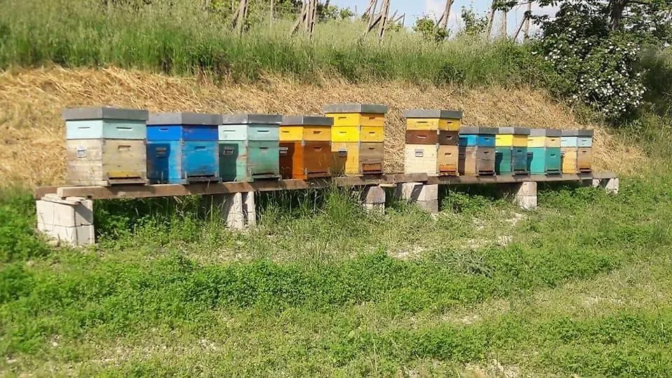 Agriturismo Il Colore Del Grano San Vittore  Italy