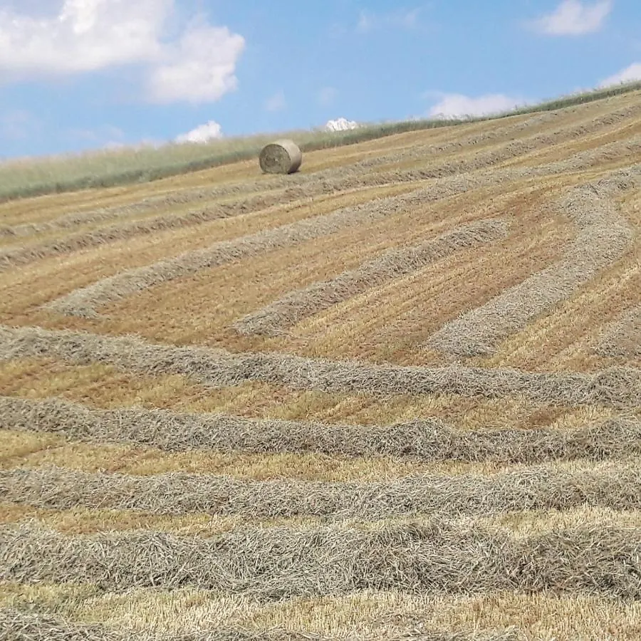 Agriturismo Il Colore Del Grano San Vittore  0*, San Vittore (Emilia-Romagna) Italy
