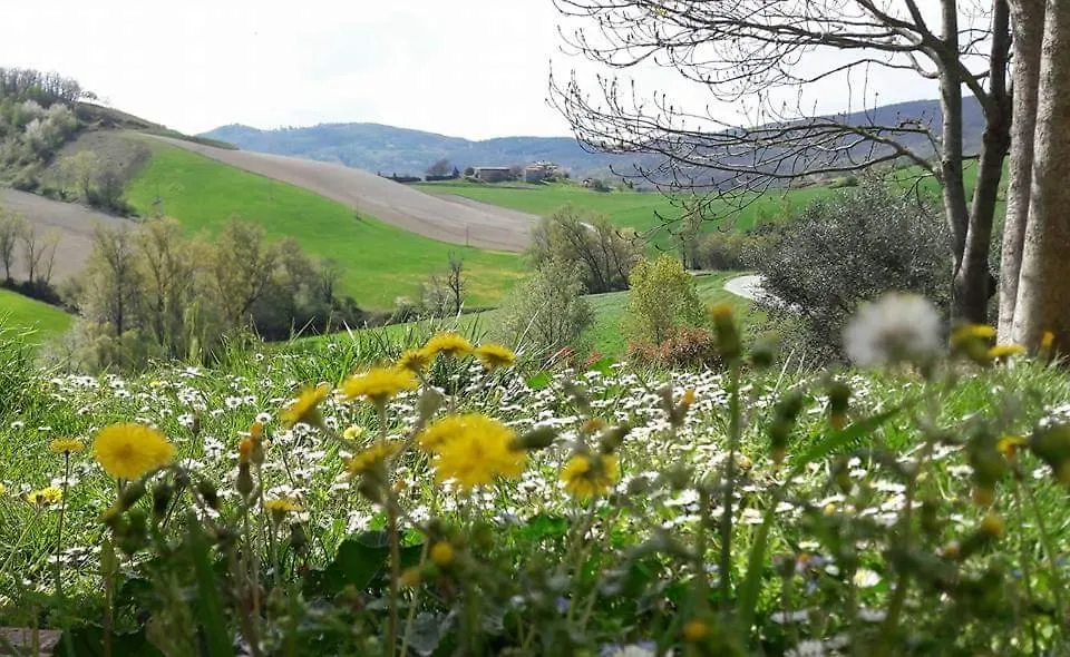 Farm stay Agriturismo Il Colore Del Grano San Vittore