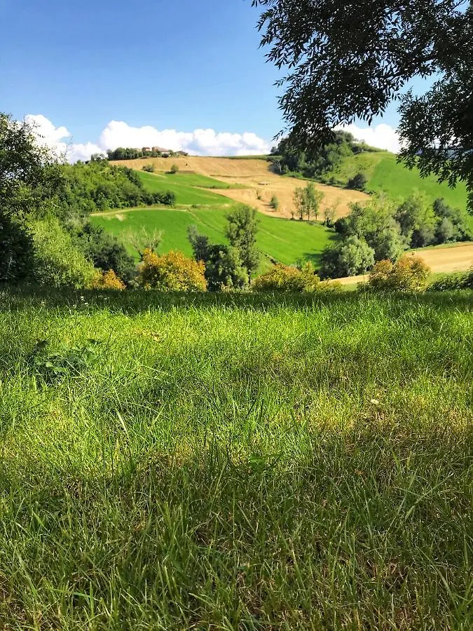 Agriturismo Il Colore Del Grano San Vittore  Farm stay